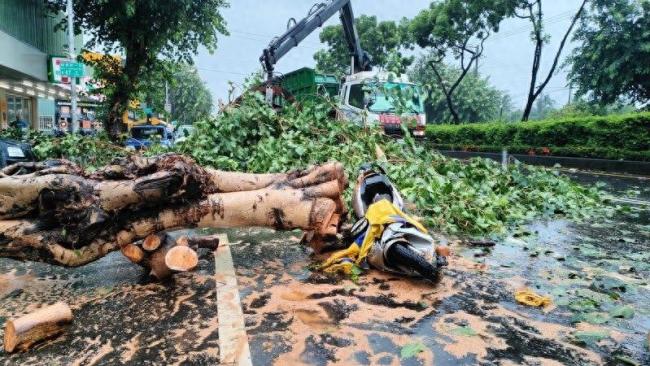 台风“格美”来袭，台媒记者不幸遭遇意外 第1张